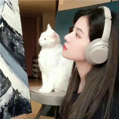琵琶怨